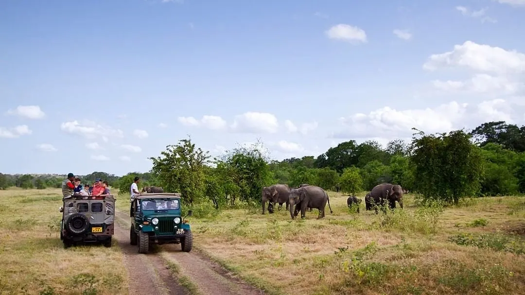 Minneriya National Park