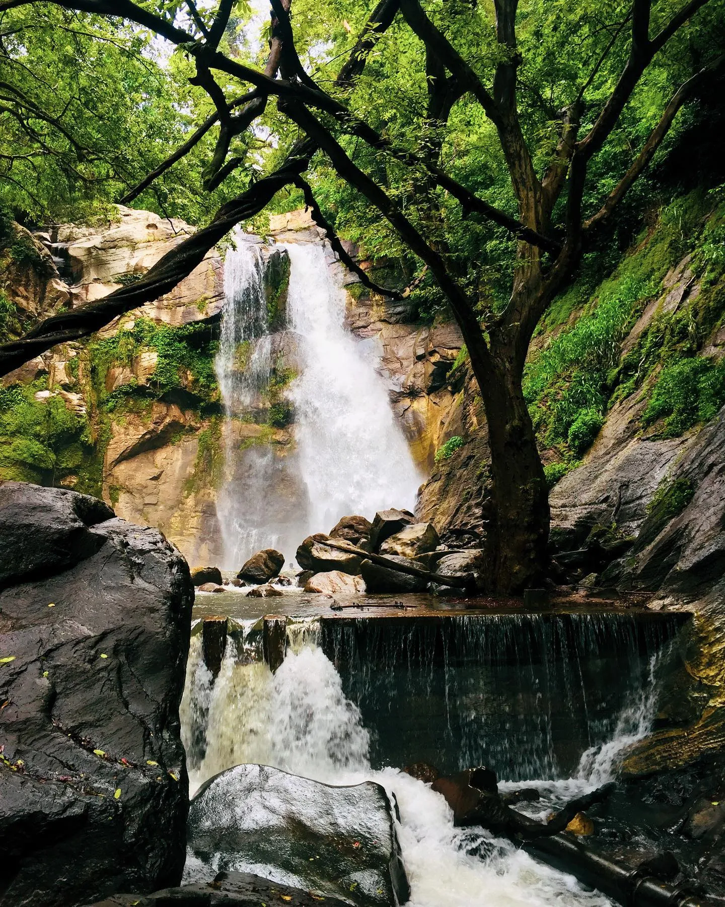 Ellewala Waterfall