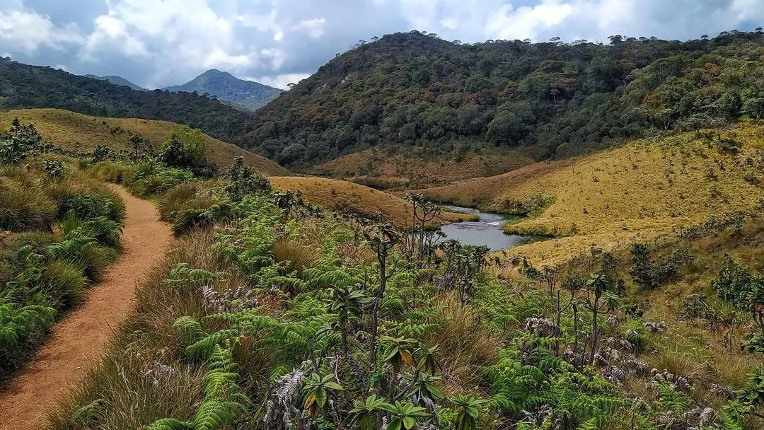 Horton Plains National Park