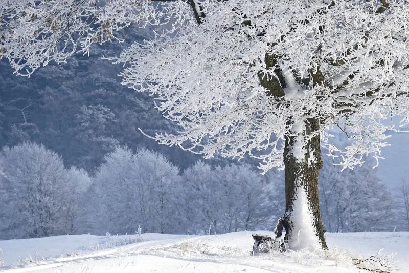 Does it snow in Australia?